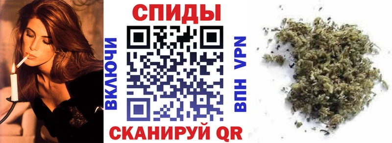 Купить где Сегежа Бутират Butirat