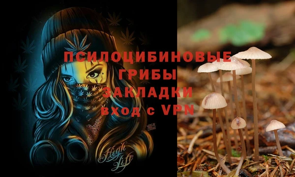 эйфоретик Вязники
