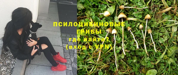 mix Вяземский